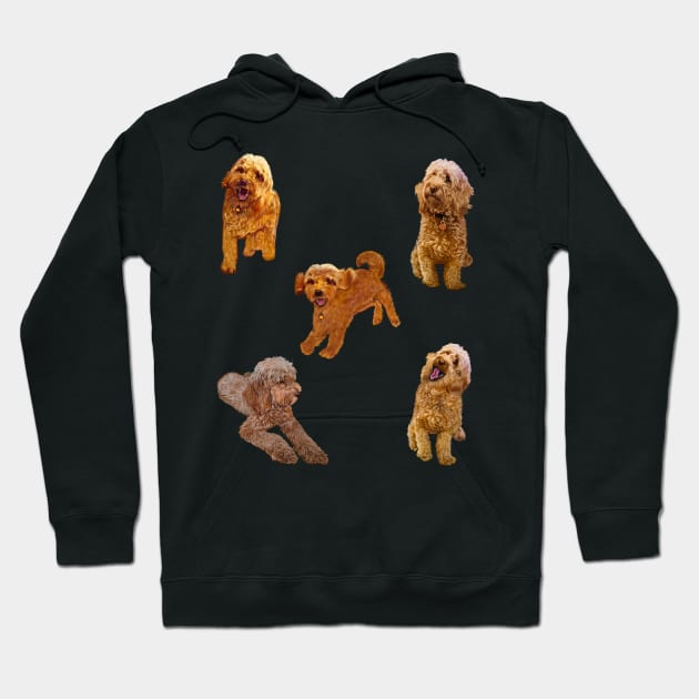 Cavapoo Cavoodle puppy pattern -puppies galore ! cute cavalier king charles spaniel Hoodie by Artonmytee